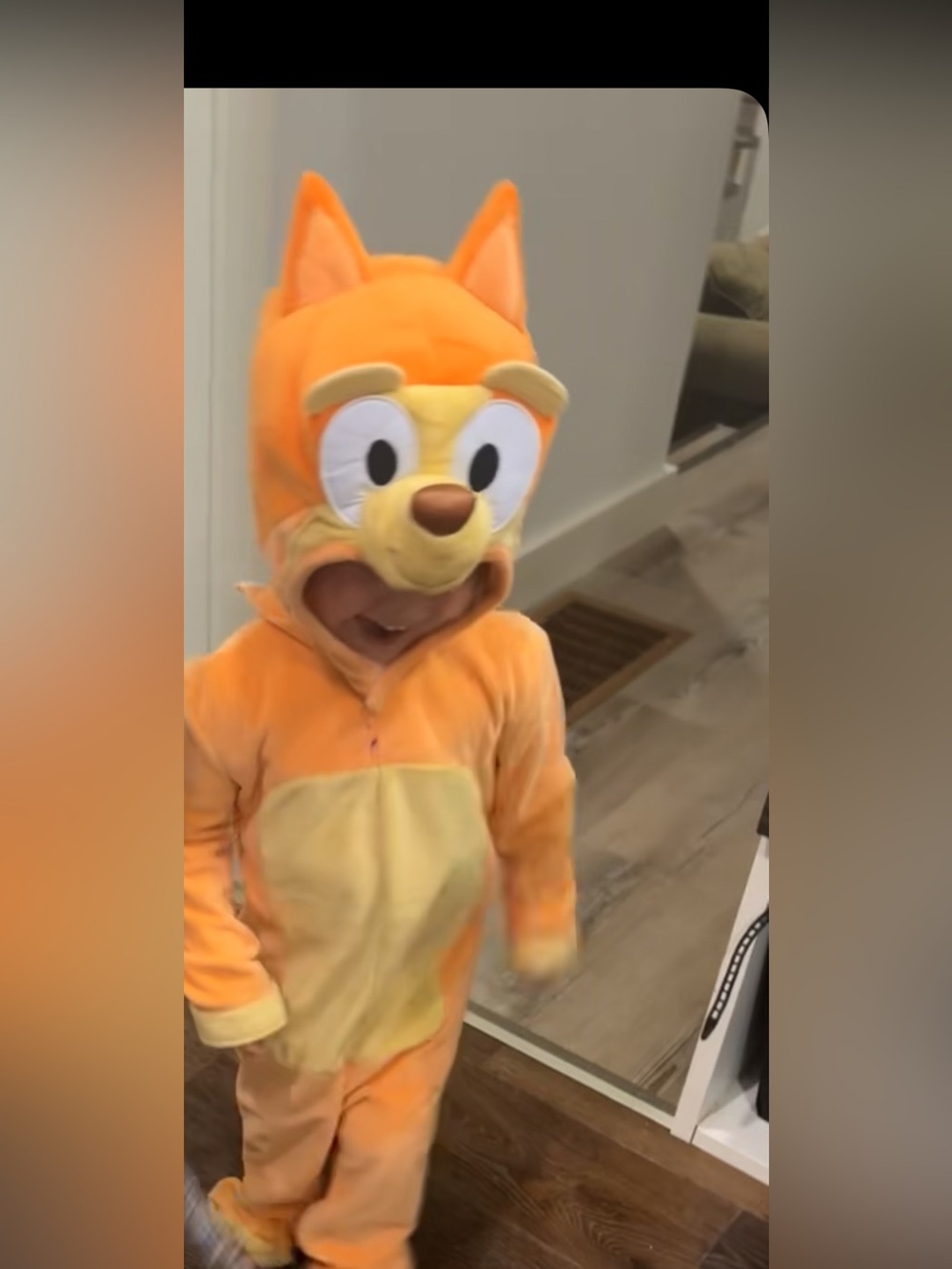 Bluey bingo costume